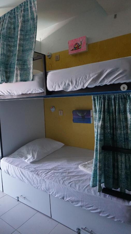 Oyster Hostel Βερακρούζ Εξωτερικό φωτογραφία