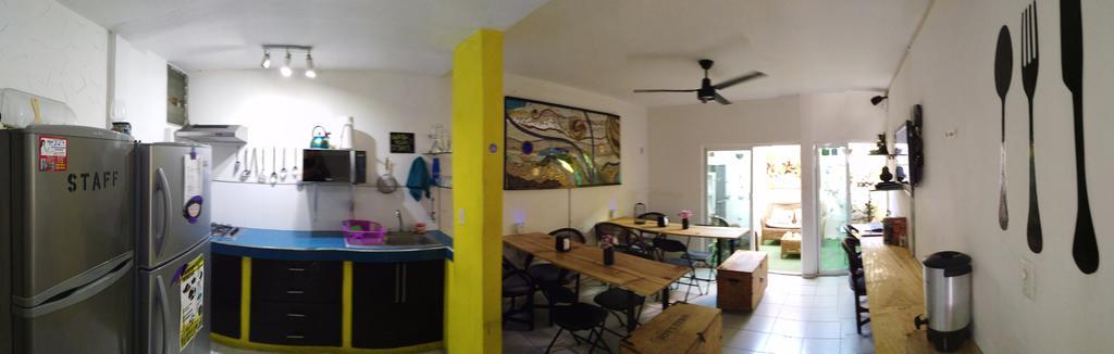 Oyster Hostel Βερακρούζ Εξωτερικό φωτογραφία