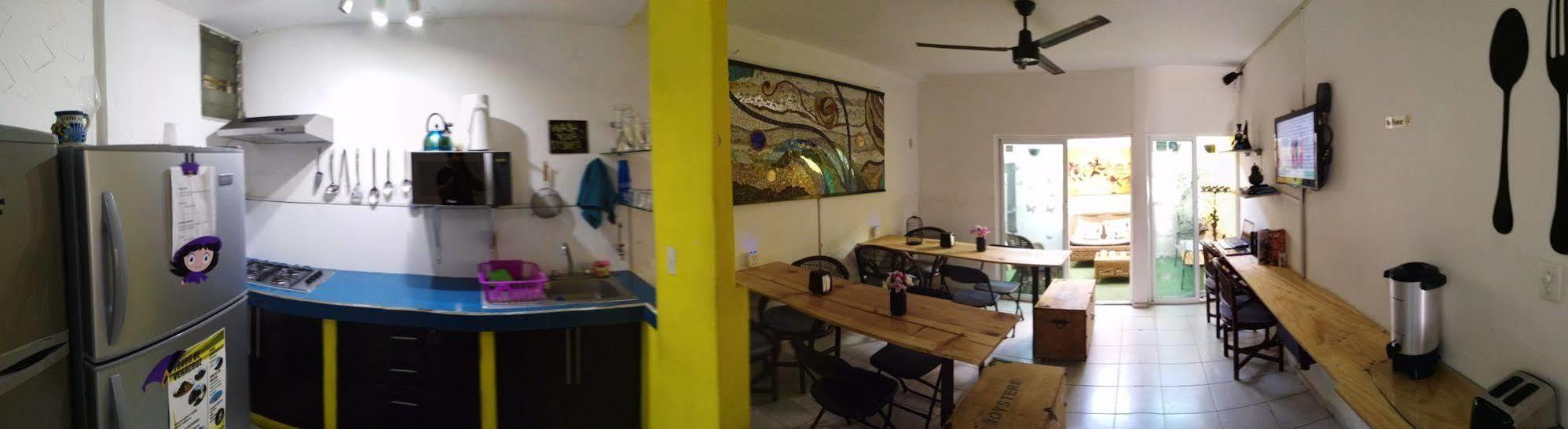 Oyster Hostel Βερακρούζ Εξωτερικό φωτογραφία
