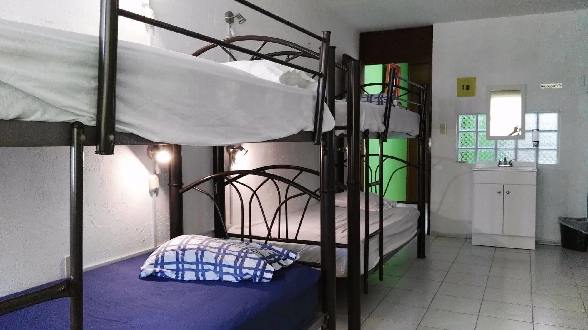 Oyster Hostel Βερακρούζ Εξωτερικό φωτογραφία