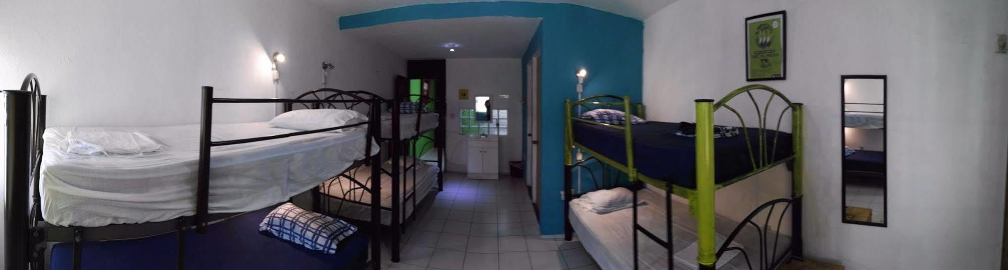 Oyster Hostel Βερακρούζ Εξωτερικό φωτογραφία